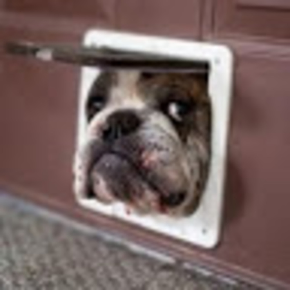 Meet your Posher, Tess